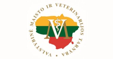 In the National Food and Veterinary Service, we will perform adjustment services for investment projects for the development of an information system